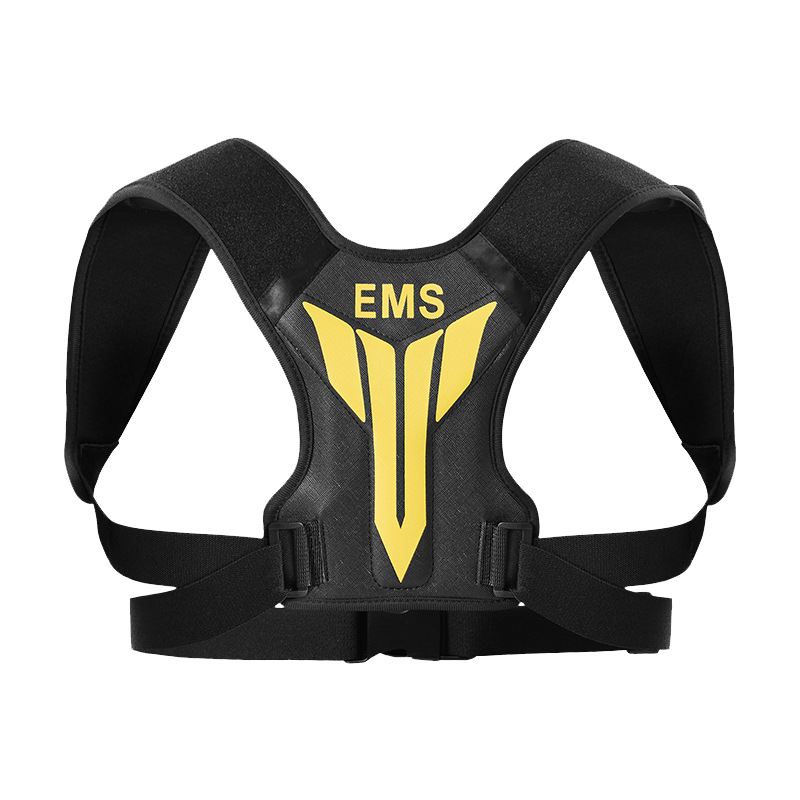 EMS Training Device for Neck & Back