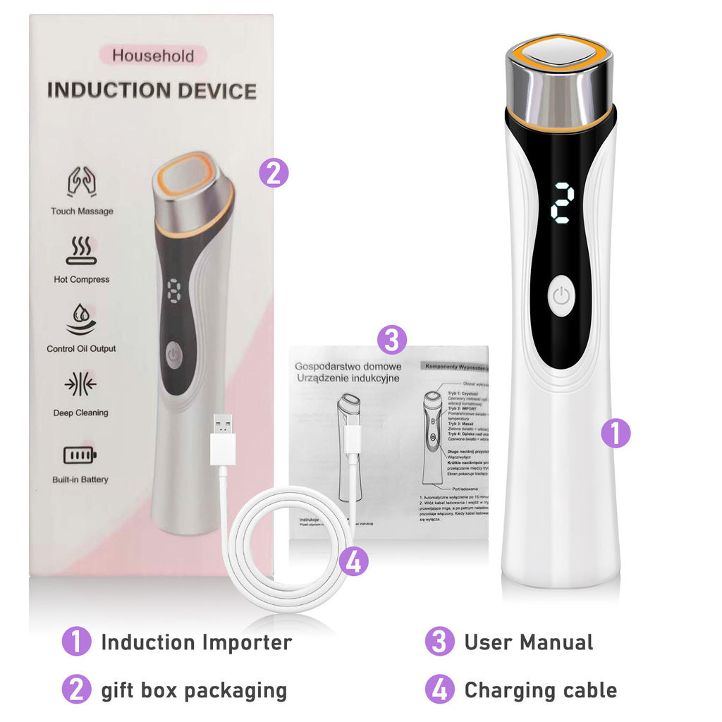 HY116 4-Color LED Facial Induction Beauty Device